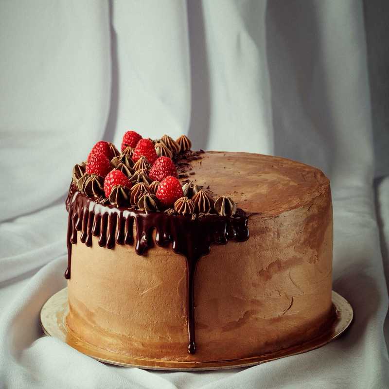 can you jam with raspberry + chocolate?
.
.
.
ultra pro photo creds to @iktotchi 
#dripcake #chocolateraspberrycake #devilsfoodcake #chocolatecoma
