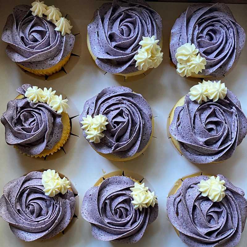 blueberry roses
.
.
.
#buttercreamroses #blueberrybuttercream #cupcakeart #homemadecupcakes
